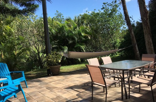 Sebastian House | A New Spring Osprey Nest- 3 BR/2 Bath