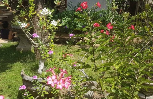Culik House | A Newly 1-Bedroom House with Open Kitchen Overlooking to Garden