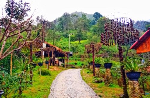 Tam Duong Apartment | A Páo Homestay