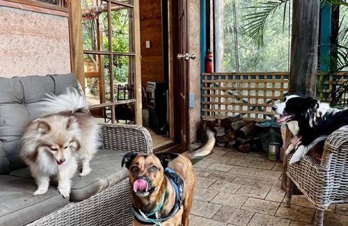 Hovea Villa | A Paradise for Dogs and a Magical Place for Humans