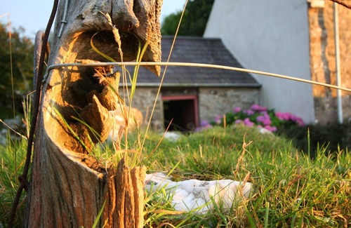 Newport Cottage | A peaceful retreat in the Pembrokeshire Coast National Park