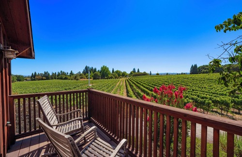 Forestville House | A Peaceful Retreat in Wine Country - The Maefield Vineyard House