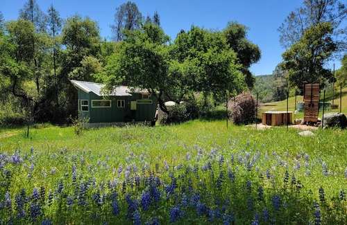 Smartville House | A perfect getaway surrounded by nature and close to town