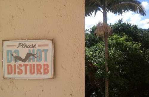 Lagoa da Conceicao Apartment | A Piece Of Paradise In The Middle Of The Island!