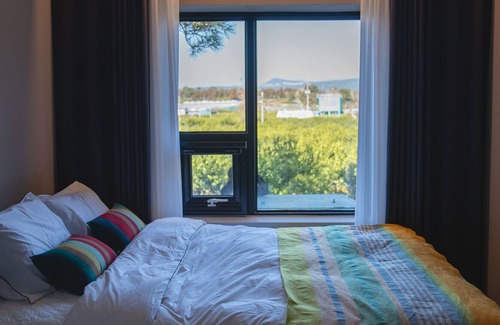 Jungmun Villa | A Private House with Greens and Natural Light of Jeju