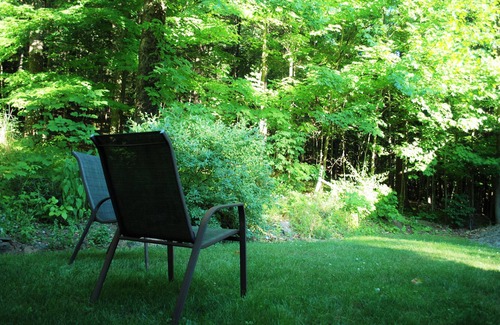 Benezette Cottage | A Private Retreat in the Heart of Benezette