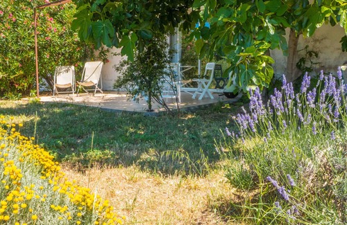 Murviel-les-Beziers Cottage | A quiet cottage with swimming pool in vineyard