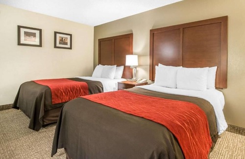 Northeast Park Hill House | A relaxing stay near the Denver airport!
