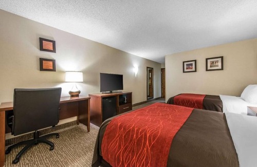 Northeast Park Hill House | A relaxing stay near the Denver airport!