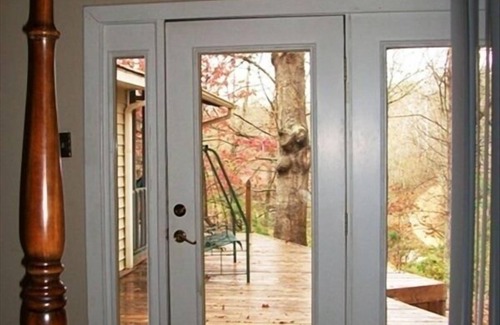 Waldo Cabin | A remote cabin surrounded by Forests, Creeks, and near Cheaha!
