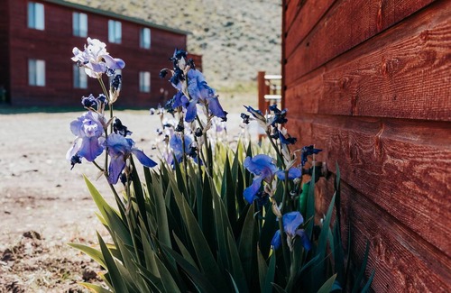 Blaine County Apartment | A Rustic Ranch & Retreat Center in the Heart of the Pioneer Mountain Range near Sun Valley