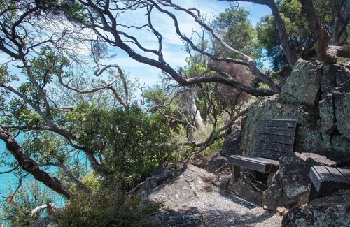 Nelson Region Cabin | A secluded hut with breathtaking ocean views