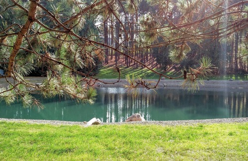 Mono House | A setting for a rustic wedding, family reunion or wellness retreat