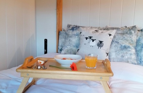 Enniskillen Bed & Breakfast | A shepherd's hut retreat with a private wood fired hot tub in County Fermanagh