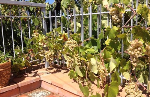 Panzano in Chianti House | A Splendid Terrace In The Heart Of Chianti