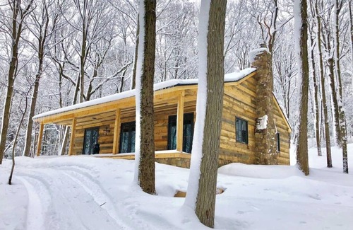 Newtonville Cabin | A stunning, modern Lodge with rustic charm at June Farms!