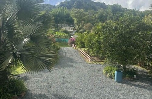 Salto Abajo Villa | A Treehouse Paradise