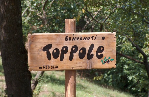 Toppole Villa | A tuscan house in the middle of olive-trees