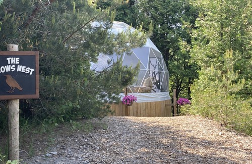 Tyrone RV Rental | A unique geodome glamping experience in the Oak Ridges Moraine Forest.