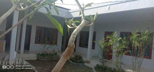 Munggu House | A&W guest house