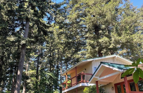 Stevenson House | A woodland retreat in Stevenson