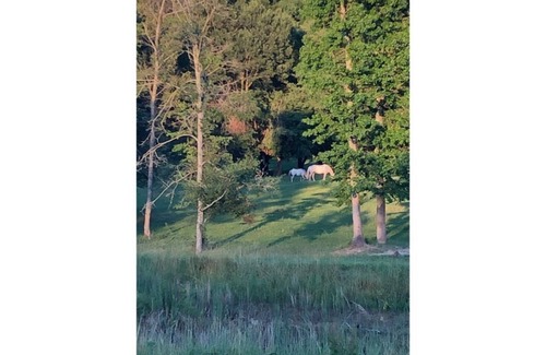 Ooltewah House | A4–Airstream 4 at Hidden Hills Farm & Saddle Club