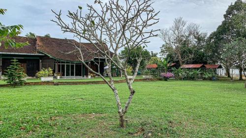 Kota Bharu Villa | Aaira 8Pari Riverview Lodge