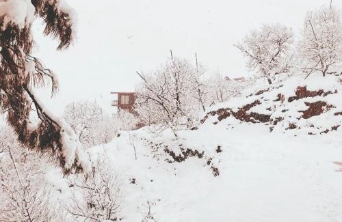 Kumharsain Bed & Breakfast | Aaramgah