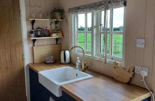 Abbeyshrule Bed & Breakfast | Abbeyview House B&B and Glamping