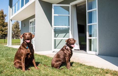 Narrabundah Hotel | Abode Narrabundah