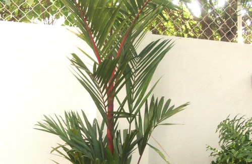 Lonavala Villa | Abode Pool, Golf & Fun Villa 2BHK nClose to main market.nSuitable for 8 Guests