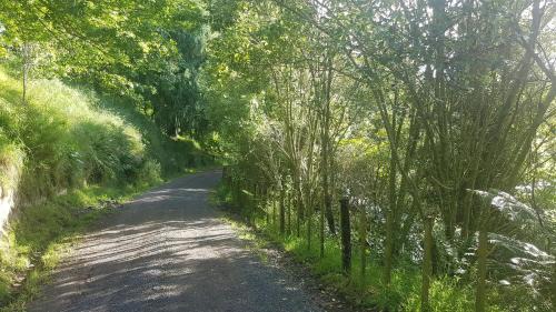 Karapiro Apartment | Above the River Karapiro Bed & Breakfast