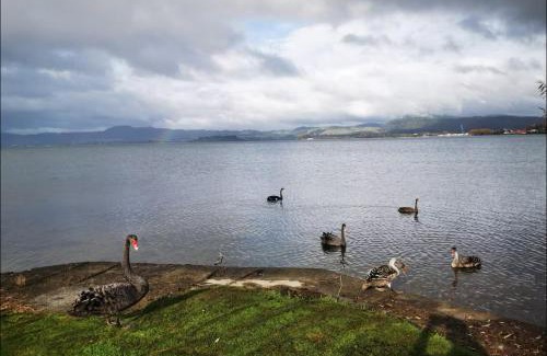 Kawaha Point House | Absolutely Lake Front house-Private lake access