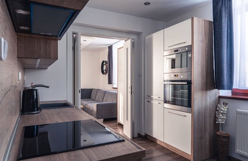 Tatranska Lomnica Apartment | AC Tatrahouse Luxury Apartment - High Tatras