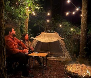 Indaial Other | Acampamento Pinhais