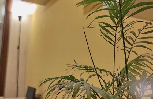 Aci Sant'Antonio Apartment | Aci Sant'Antonio apartment, comfort and relaxation