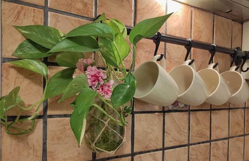 Aci Sant'Antonio Apartment | Aci Sant'Antonio apartment, comfort and relaxation