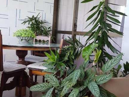 Pirangi do Norte Apartment | Aconchegante apartamento vista mar no Vila Real Porto Brasil