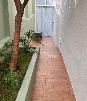 Alto Barroca House | Aconchego BH