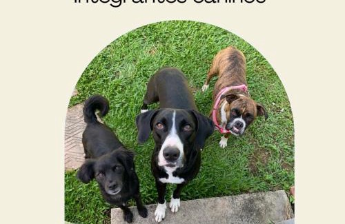 Pomerode House | Aconchego do Harry Potter