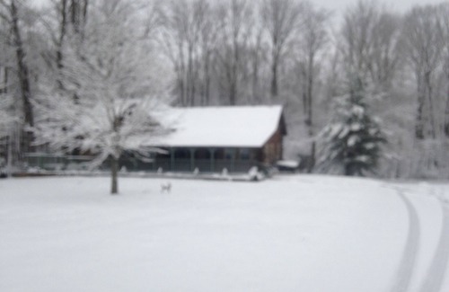 Bloomington Cabin | Acorn Resort is a unique retreat