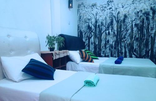 Ella House | Adams Green View Cottage