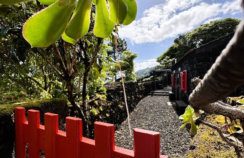 Sao Roque do Pico Cottage | Adega Baía Azul - The essence of Pico
