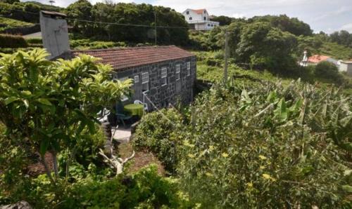 Calhau Hotel | Adega do Gato