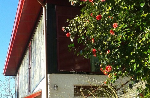 Deiva Marina Apartment | Adorable Garden House in the "5 Terre" tourist area CITRA CODE 011012-LT-0013