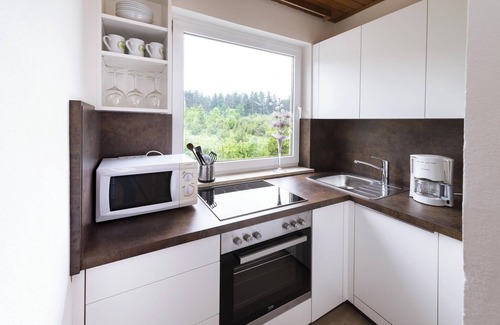 Wasserhofen Apartment | Adults only apartment with pool