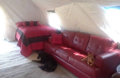 Geyserville RV Rental | Adventure on Russian River ~ Comfort and Outdoors