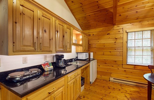 Northport Apartment | Adventure ready studio cabin with wooded views, fireplace, & AC
