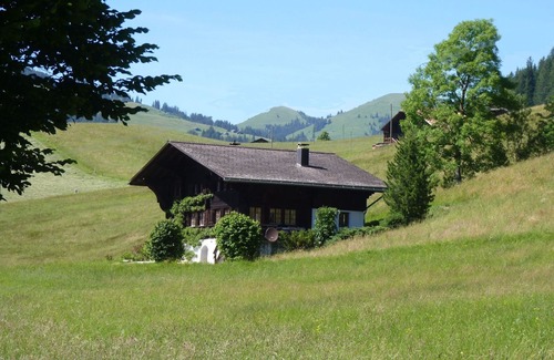 Saanen Apartment | Aerneli, Chalet by Interhome