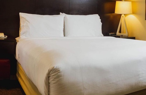 San Jose Hotel | Aesthetically Appealing Accommodations! Minutes to Winchester Mystery House